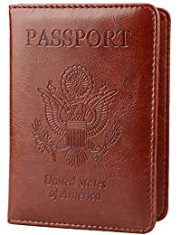 passport leather case